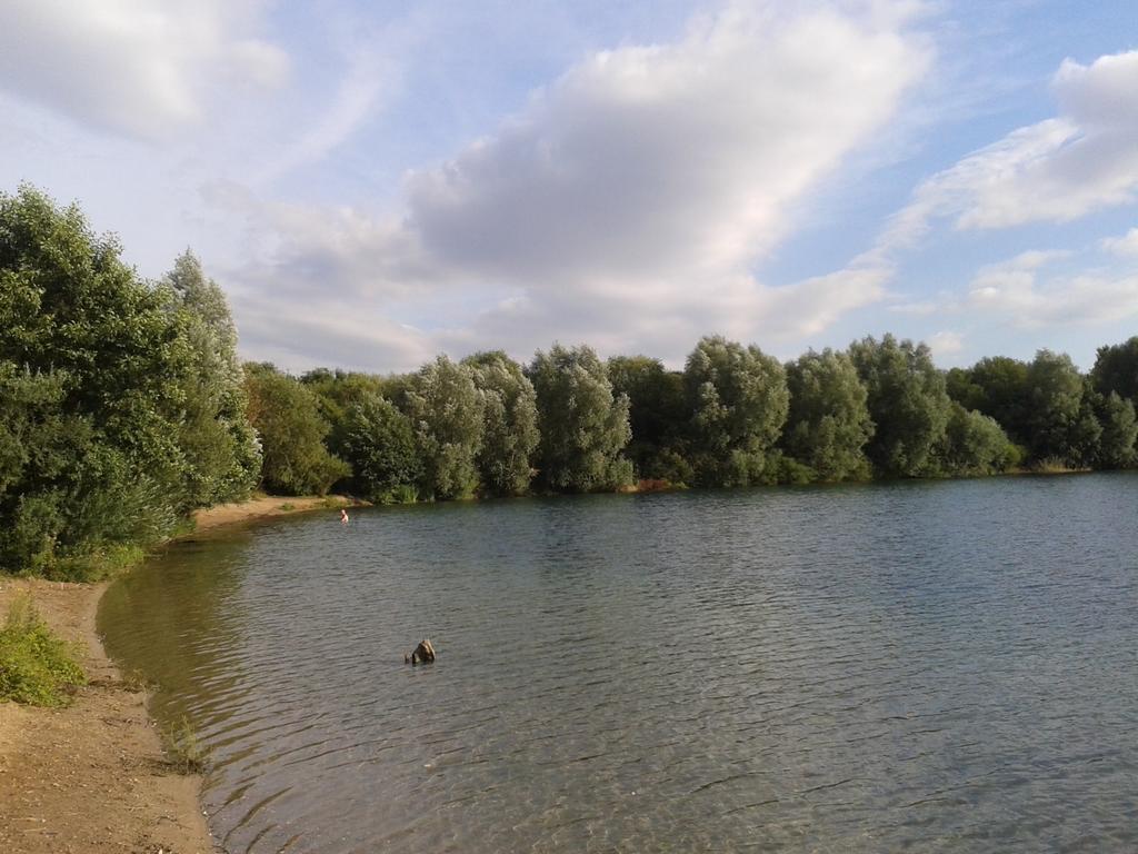 B&B Am See Koeln - Privatzimmer Номер фото