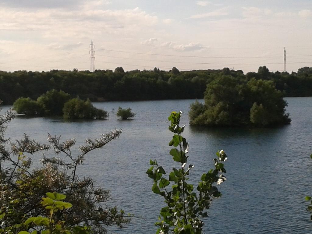 B&B Am See Koeln - Privatzimmer Номер фото